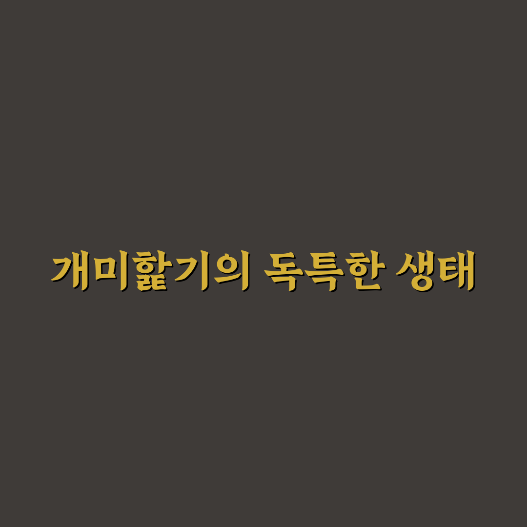 개미핥기 일본어 표현 쉽게 알려드려요