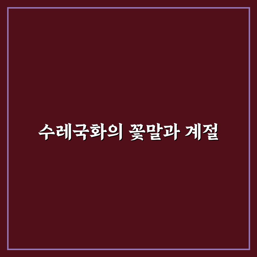 수레국화 개화시기와 관련된 꿀팁 공유합니다
