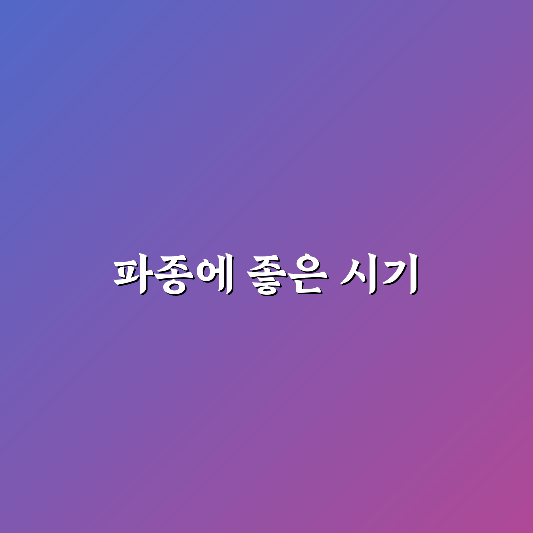 양귀비꽃 파종시기 꿀팁과 주의사항 정리