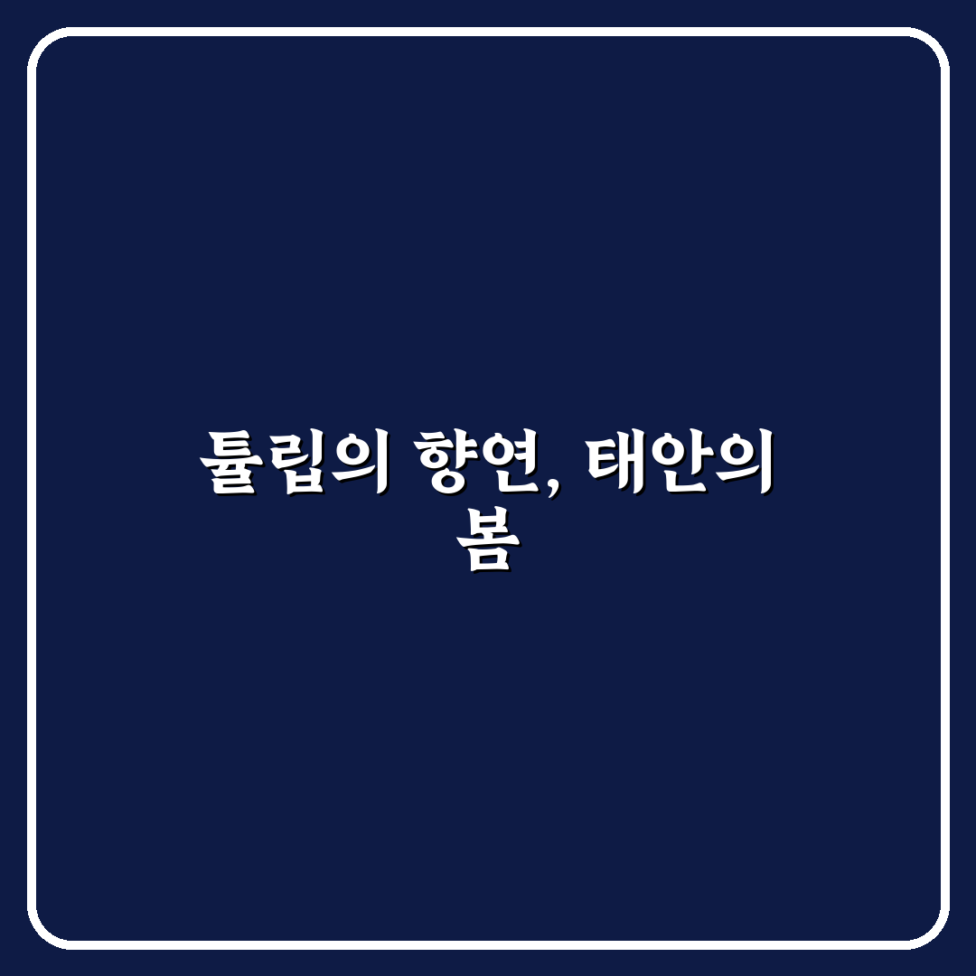 태안 튤립축제 주소와 꼭 알아야 할 꿀팁 정리