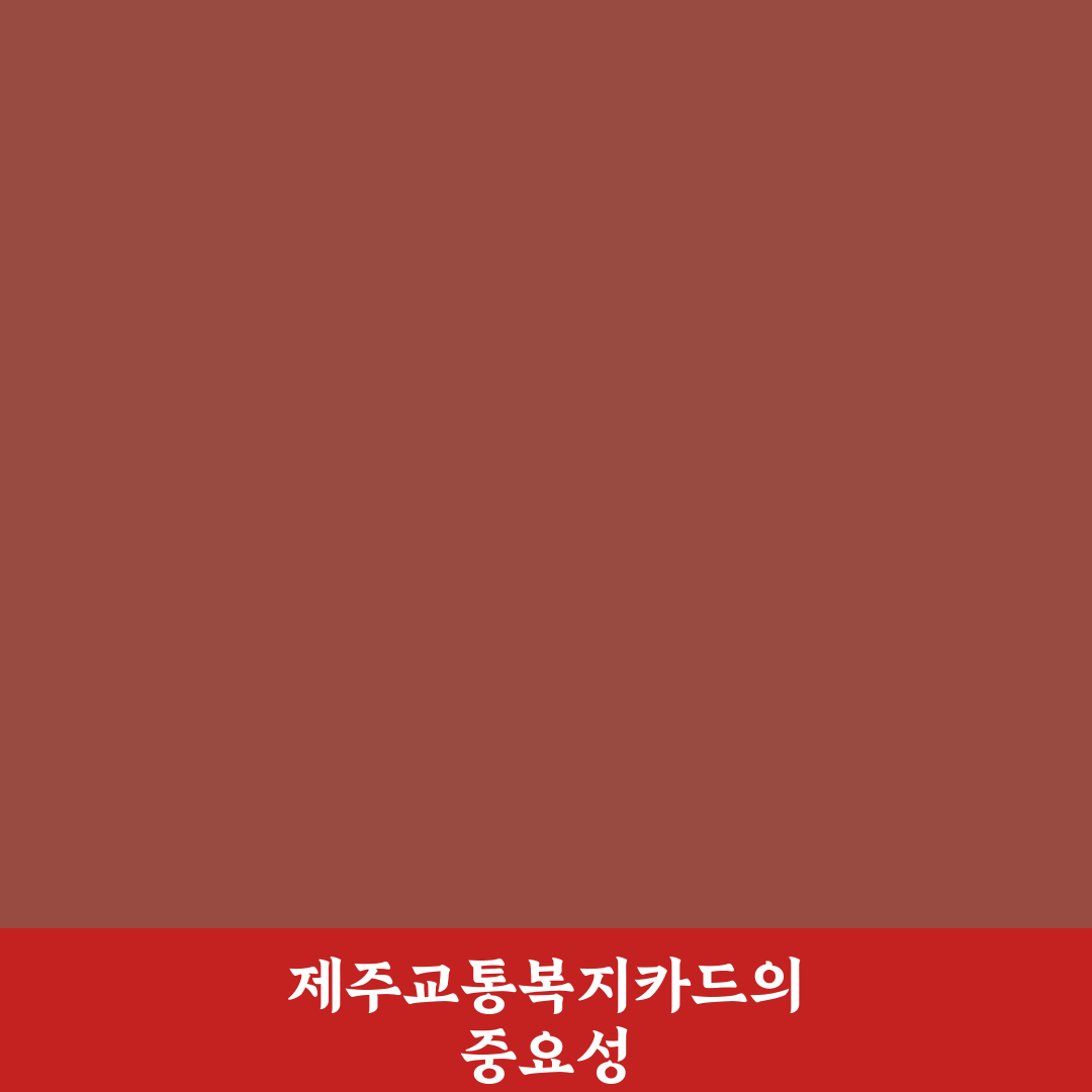 제주교통복지카드 꿀팁과 활용 방법 정리