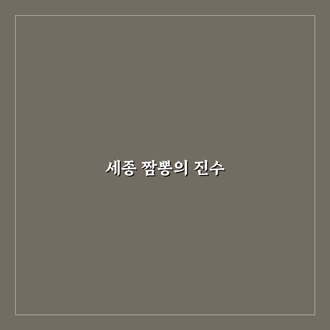 세종 짬뽕지존 맛집 추천과 꿀팁 정리