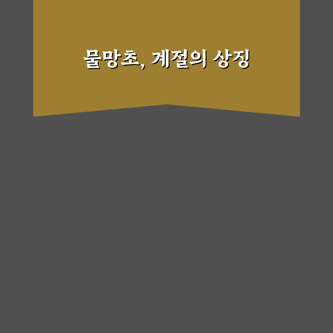 물망초 개화시기와 꿀팁 정리하기