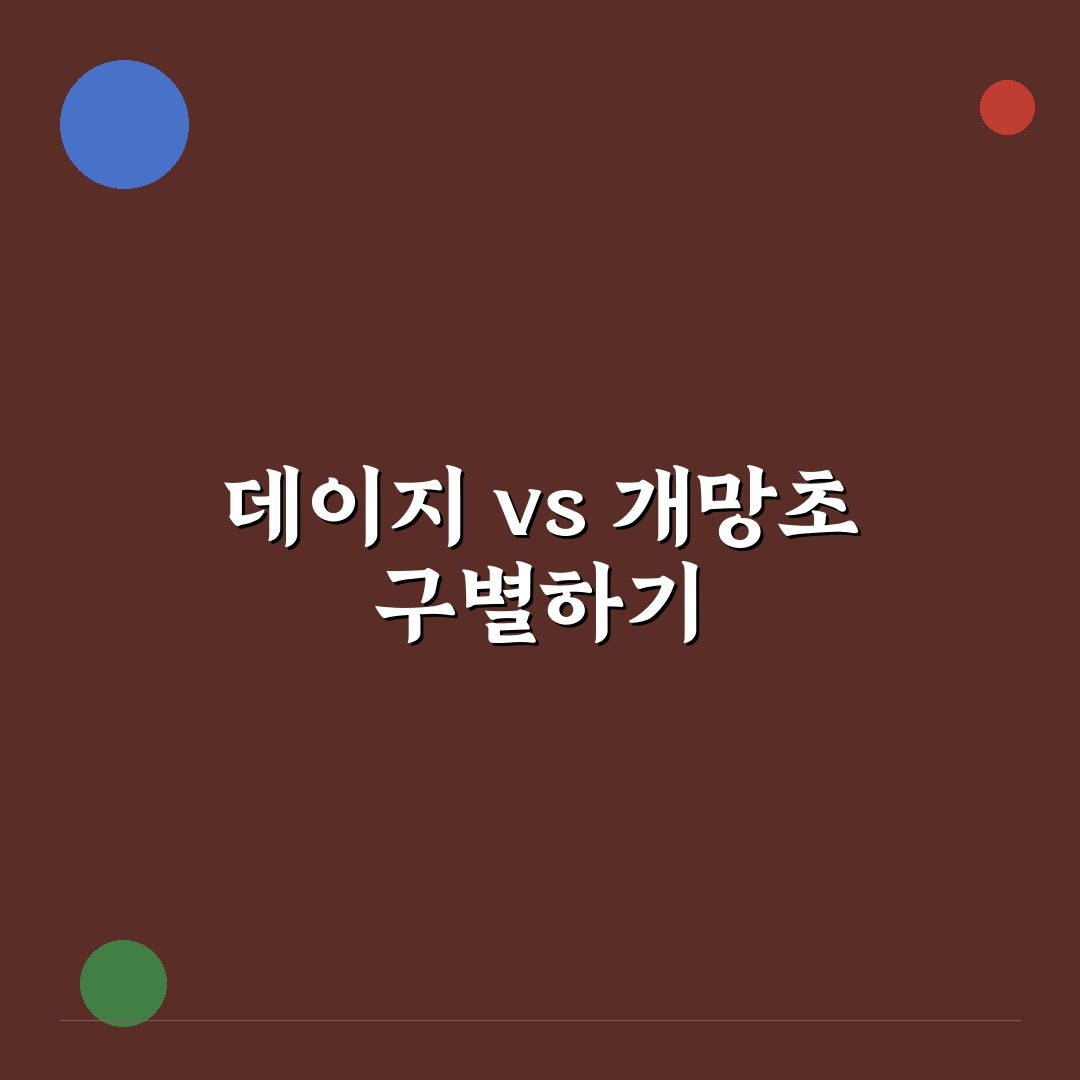 데이지와 개망초 차이 정리하기