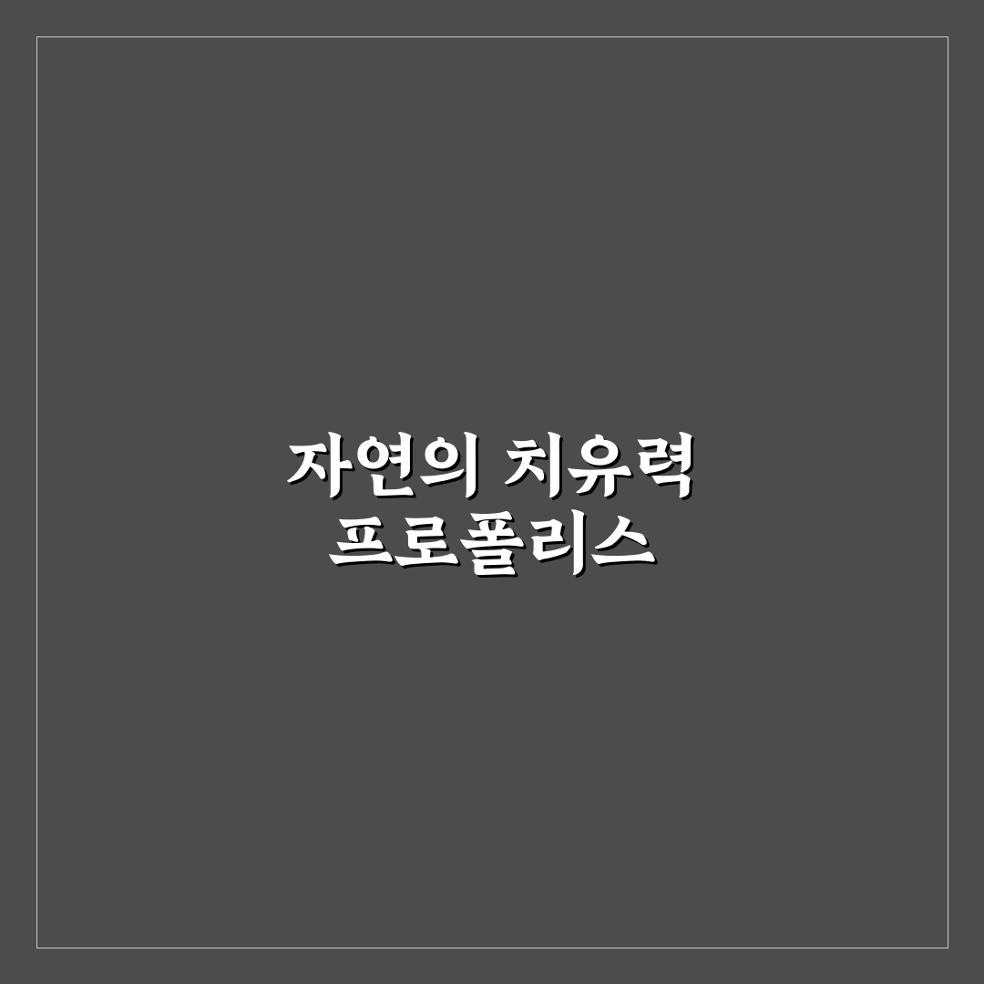 프로폴리스 지우기 꿀팁 초보자를 위한 방법 안내