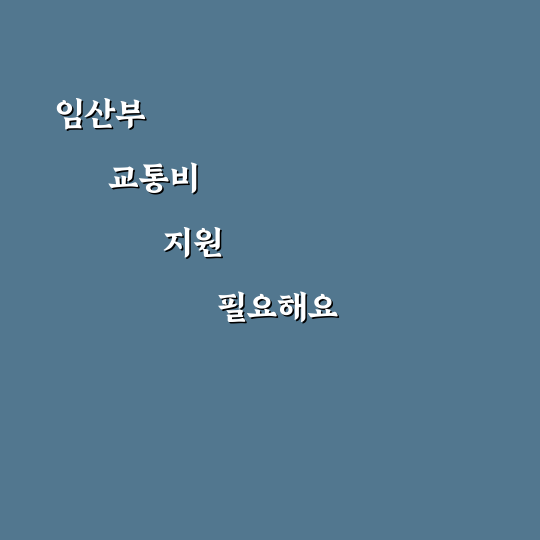 대구 임산부 교통비 지원 꿀팁 모음