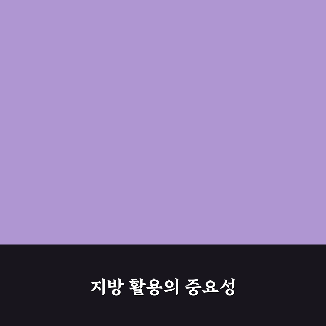 지방쓰는법 다운로드 꿀팁과 활용법 안내