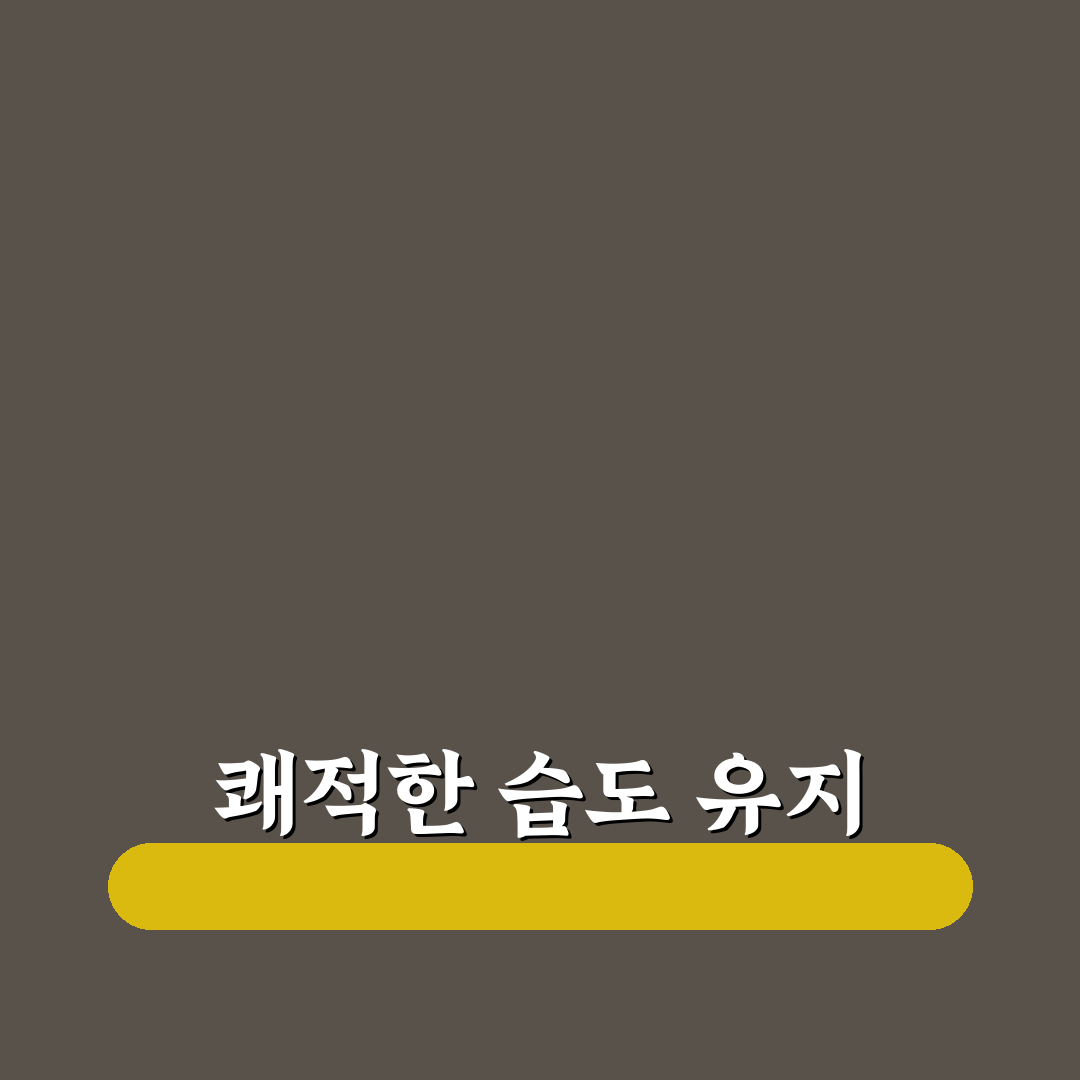 제습기 효능과 사용 꿀팁 정리하기